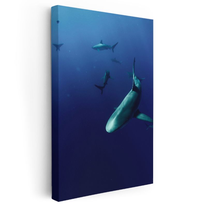 Köpekbalığı Sürüsü - Derin Mavide Yüzen Avcılar Kanvas Tablo