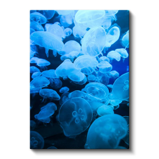 Mavi Denizanaları - Derin Sularda Dans Eden Şeffaf Topluluk Kanvas Tablo