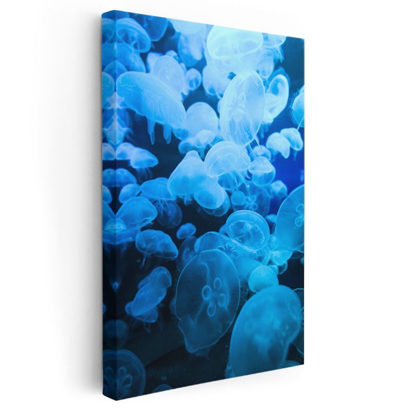 Mavi Denizanaları - Derin Sularda Dans Eden Şeffaf Topluluk Kanvas Tablo