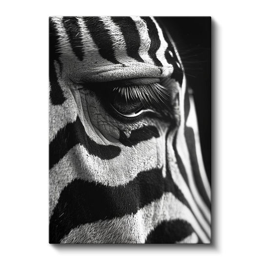 Zebra Gözü - Siyah Beyaz Desenlerde Keskin Bakış Kanvas Tablo