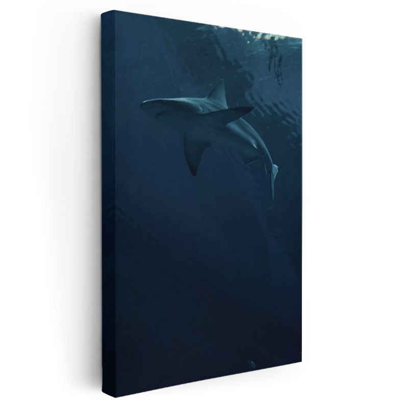 Derin Köpekbalığı - Karanlık Sularda Sessiz Yüzüş Kanvas Tablo