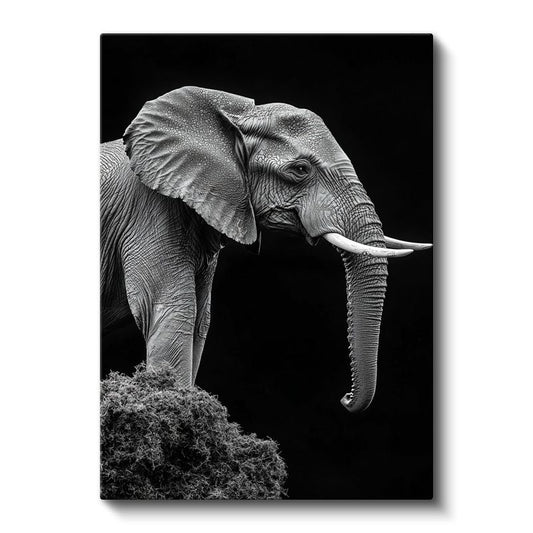 Asil Fil - Siyah Beyaz Detaylı Portre Kanvas Tablo