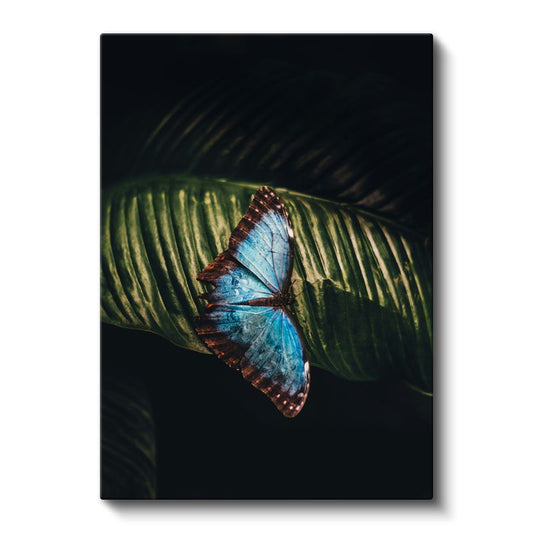 Mavi Kelebek Zarafeti - Yaprak Üzerinde Dinlenen Nadir Güzellik Kanvas Tablo