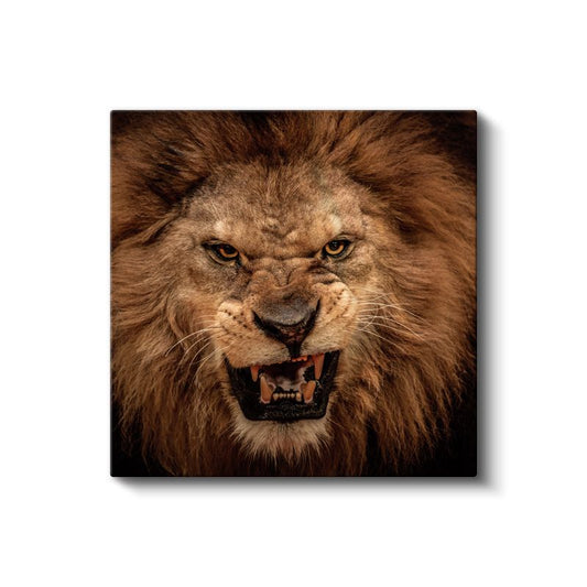Kükreyen Aslan - Ormanlar Kralının Güçlü Portresi Kanvas Tablo