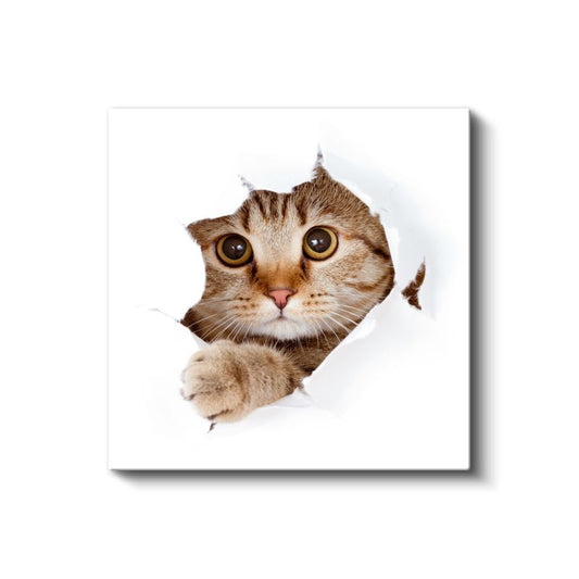 Meraklı Kedi - Kağıttan Bakan Sevimli Dostumuz Kanvas Tablo