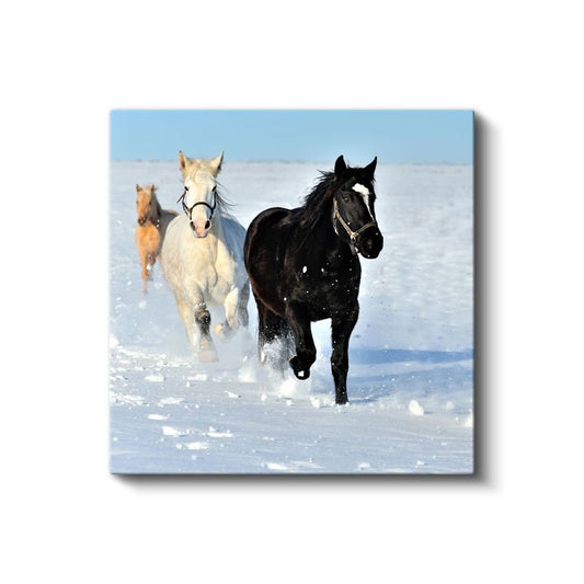 Karda Koşan Atlar - Özgürlüğün Beyaz Manzarasında Yarış Kanvas Tablo
