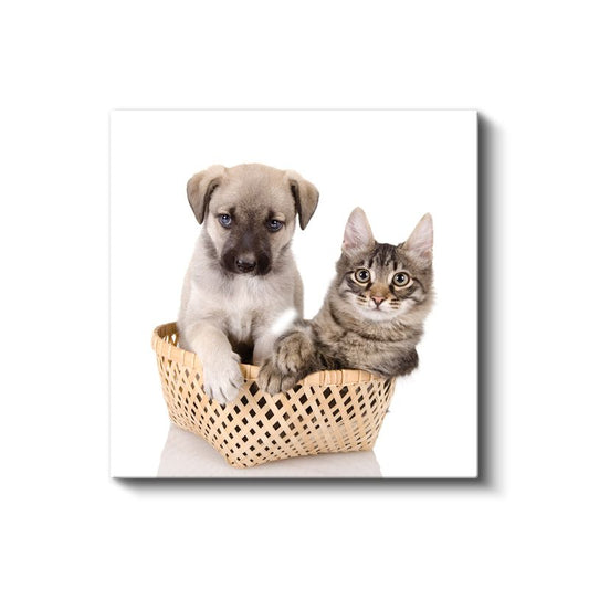 Sepetteki Dostlar - Yavru Köpek ve Kedi İkilisi Kanvas Tablo