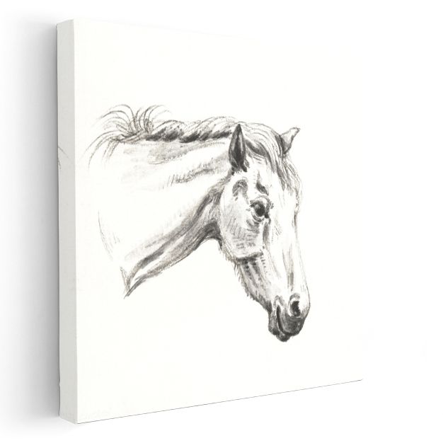 Karakalem At - Zarif Çizgilerle Betimlenen Asalet Kanvas Tablo