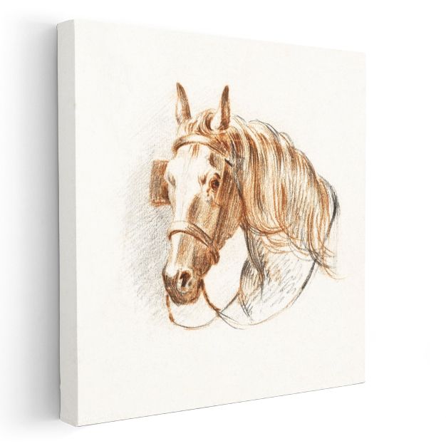 Kahverengi At Eskizi - Klasik Tarzda Çizilmiş Soylu Hayvan Kanvas Tablo