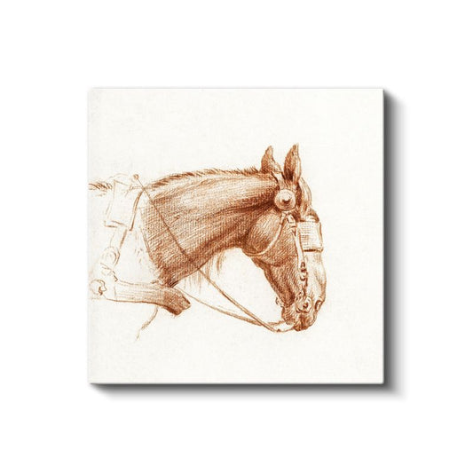 Koşum Takımlı At - Klasik Çizim Tarzında Asil Hayvan Kanvas Tablo