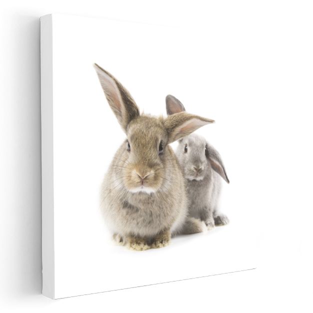 Tavşan Dostluğu - Sevimli İkilinin Yumuşak Dünyası Kanvas Tablo