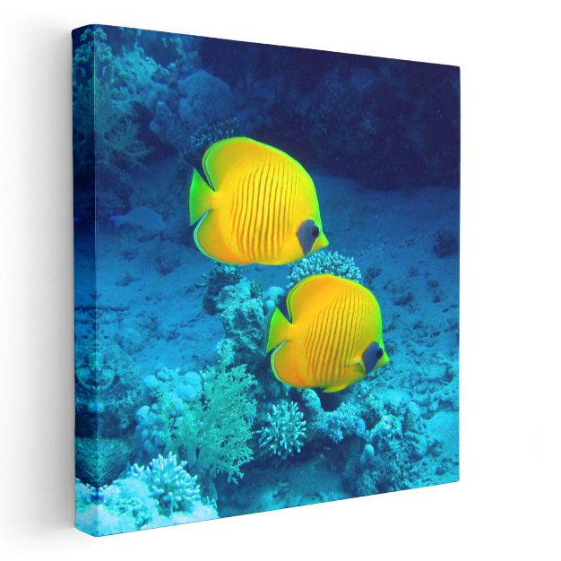 Sarı Mercan Balıkları - Mavi Derinliklerin İkili Dansı Kanvas Tablo