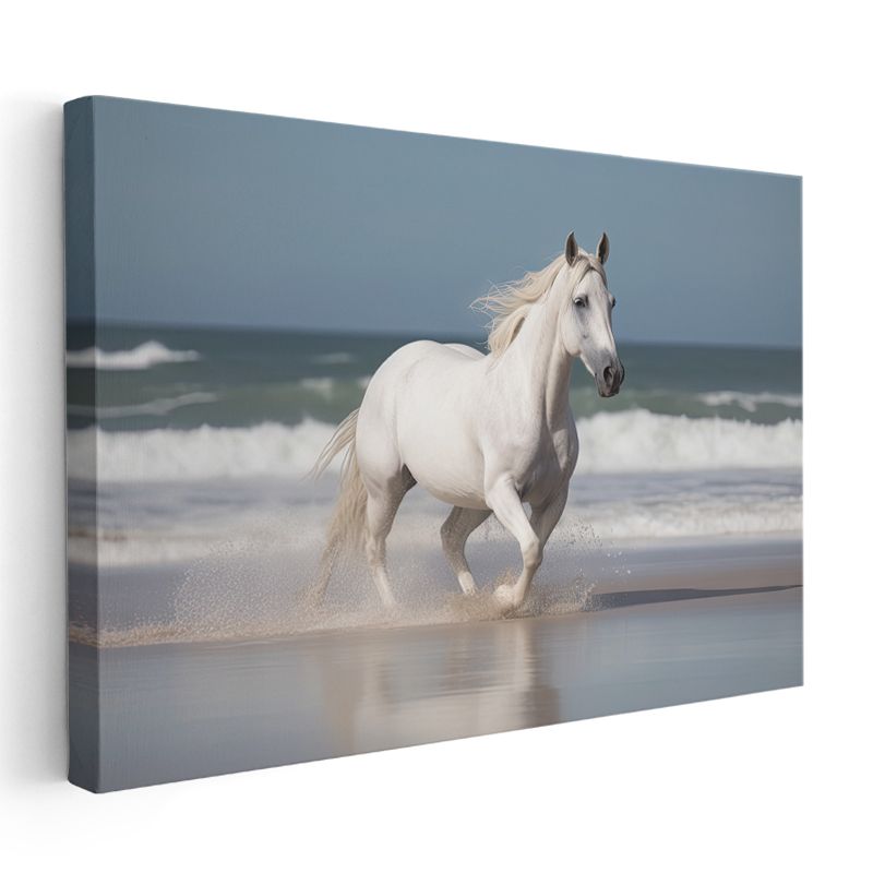 Sahilde Koşan Beyaz At - Özgürlüğün Zarif Dansı Kanvas Tablo