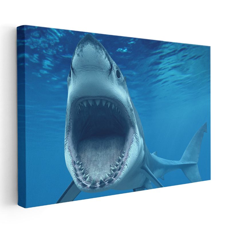 Avcı Köpekbalığı - Derin Maviliklerde Tehlikeli Yüzgeçli Kanvas Tablo