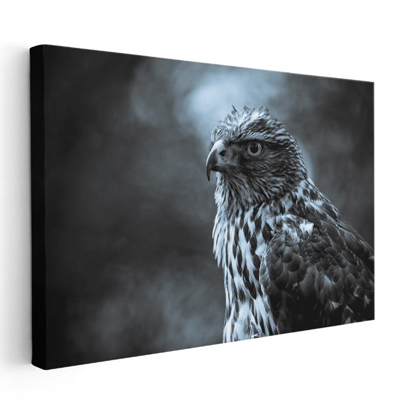 Keskin Bakışlı Kartal - Avcı Kuşun Asil Portresi Kanvas Tablo