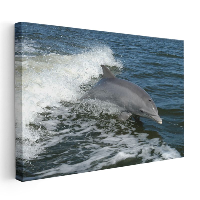 Özgür Yunus - Dalgalar Arasında Dans Eden Deniz Memelisi Kanvas Tablo