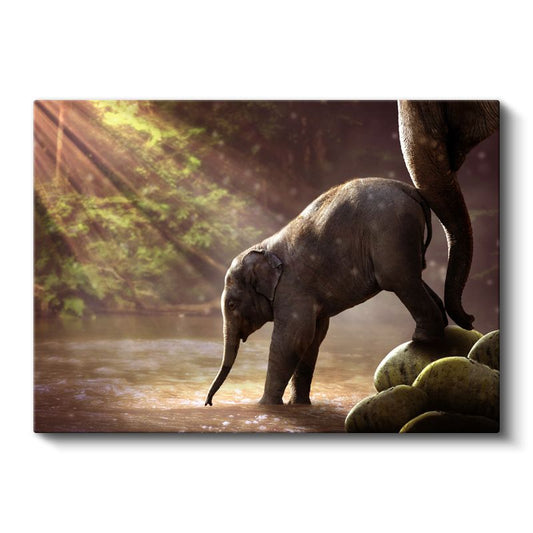 Yavru Fil - Nehirde İlk Adımlarını Atan Sevimli Bebek Kanvas Tablo