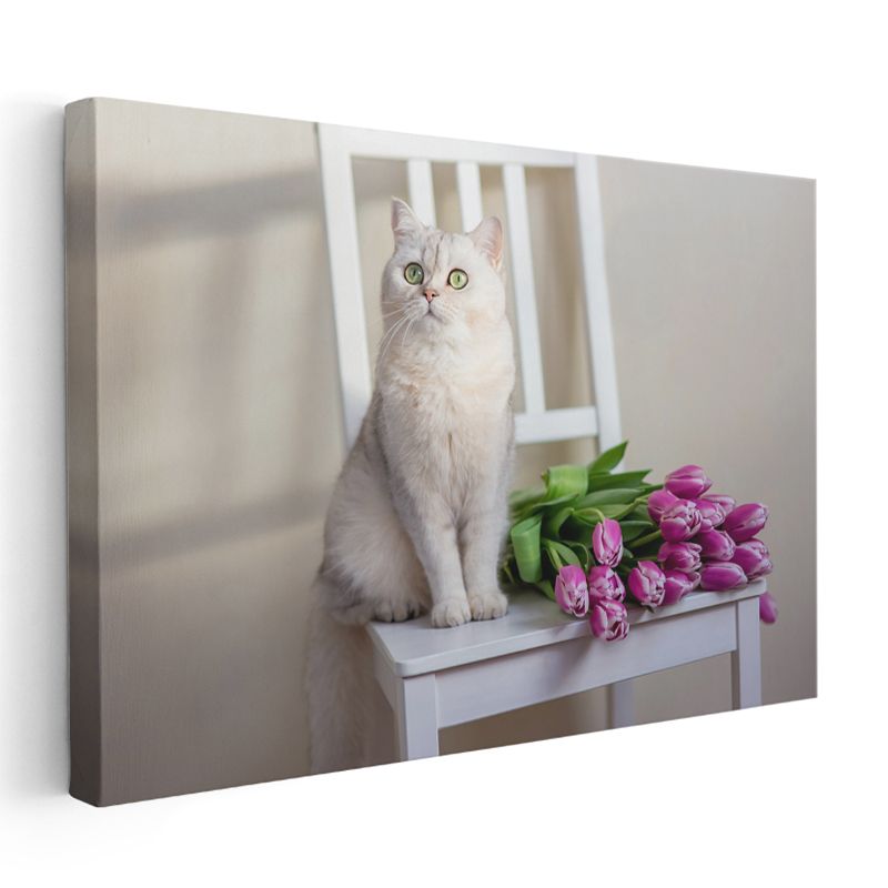 Beyaz Kedi - Mor Lalelerle Zarif Evcil Hayvan Portresi Kanvas Tablo