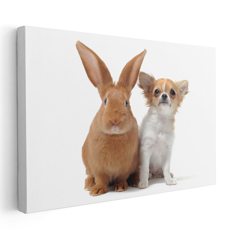 Sevimli İkili - Tavşan ve Chihuahua Dostluğu Kanvas Tablo