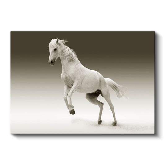 Beyaz Güzellik - Şaha Kalkan Asil At Kanvas Tablo