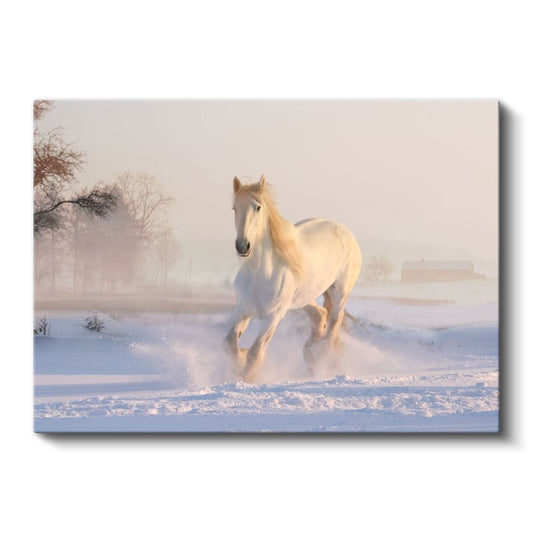 Kış Koşusu - Karlı Zeminde İlerleyen Beyaz At Kanvas Tablo