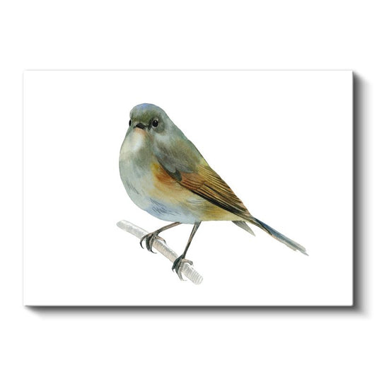 Minik Serçe - Dalda Dinlenen Pastel Renkli Kuş Kanvas Tablo