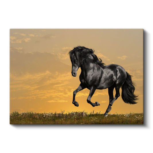 Gün Batımı Koşusu - Çayırdaki Siyah At Kanvas Tablo