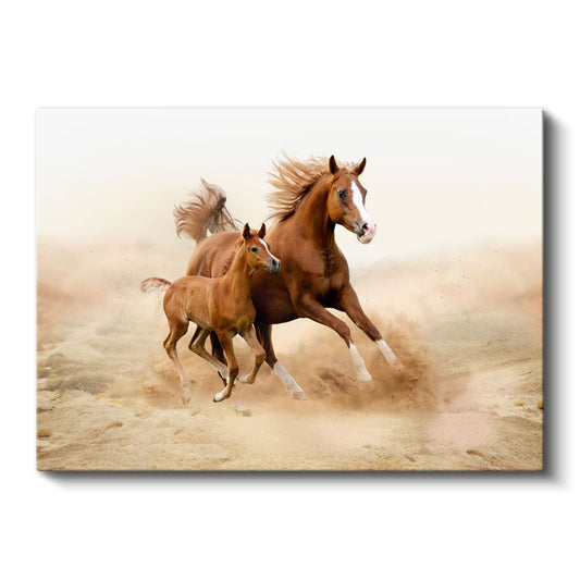 Özgür Atlar - Kumsal Koşusunda Anne ve Yavru Kanvas Tablo