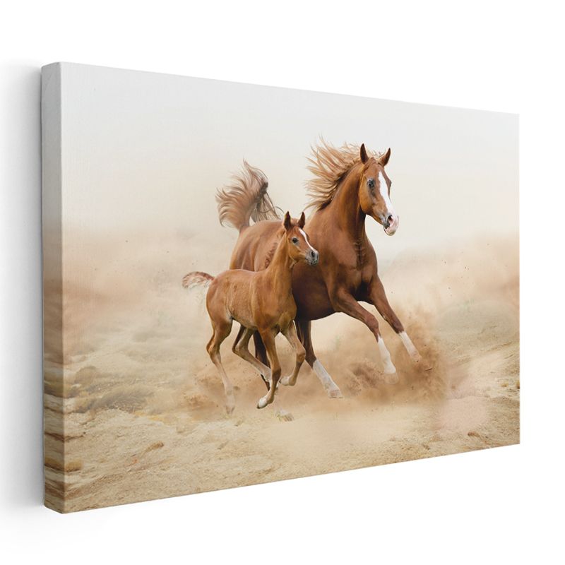 Özgür Atlar - Kumsal Koşusunda Anne ve Yavru Kanvas Tablo
