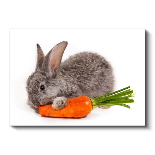 Havuçlu Tavşan - Sevimli Kemirgen Portresi Kanvas Tablo