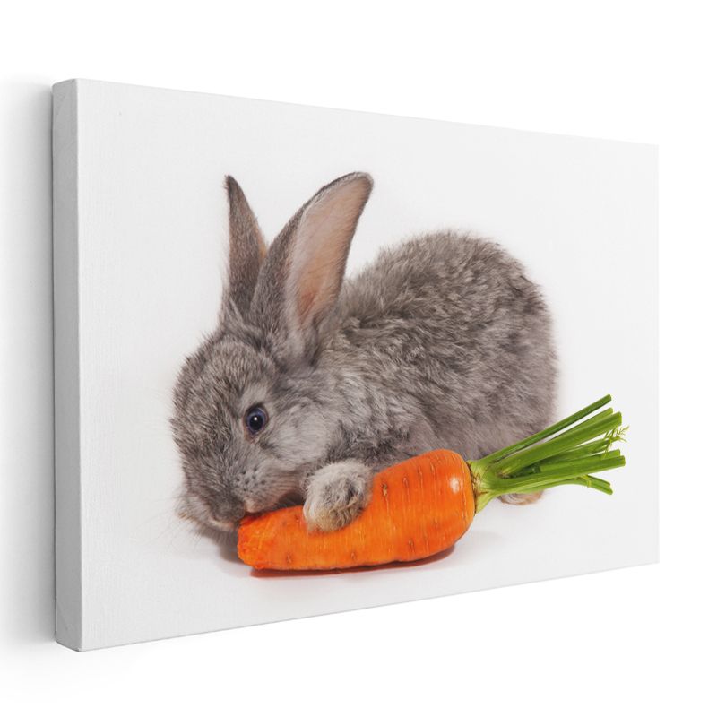 Havuçlu Tavşan - Sevimli Kemirgen Portresi Kanvas Tablo