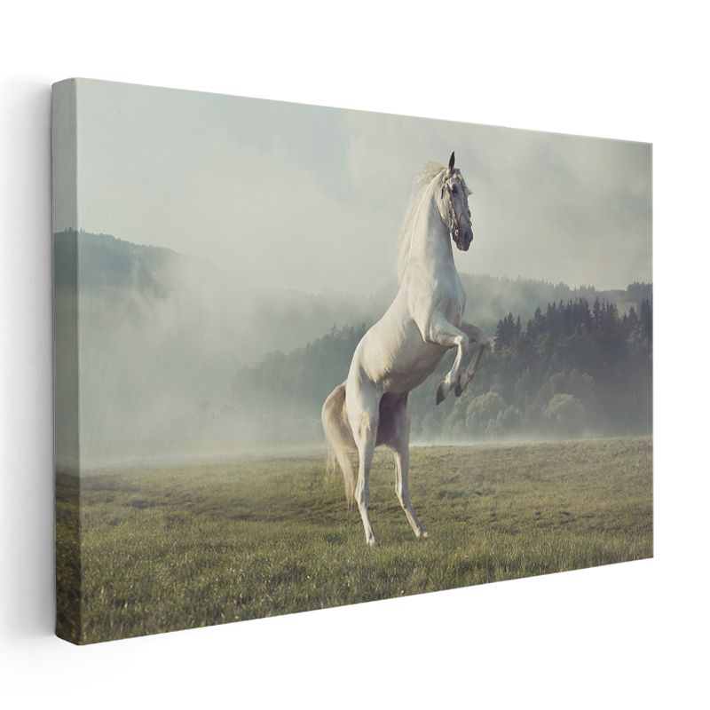 Şaha Kalkan At - Çayırda Özgür Ruh Kanvas Tablo