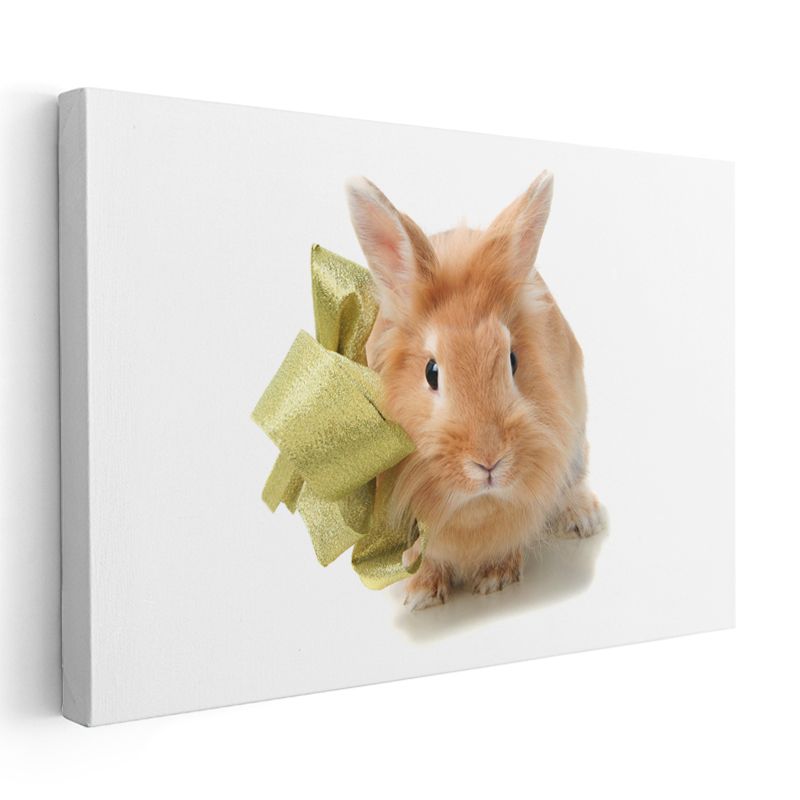 Turuncu Tavşan - Altın Kurdeleli Ön Portre Kanvas Tablo
