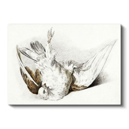 Kanatları Açık Kuş - Klasik Çizim Tekniği Kanvas Tablo
