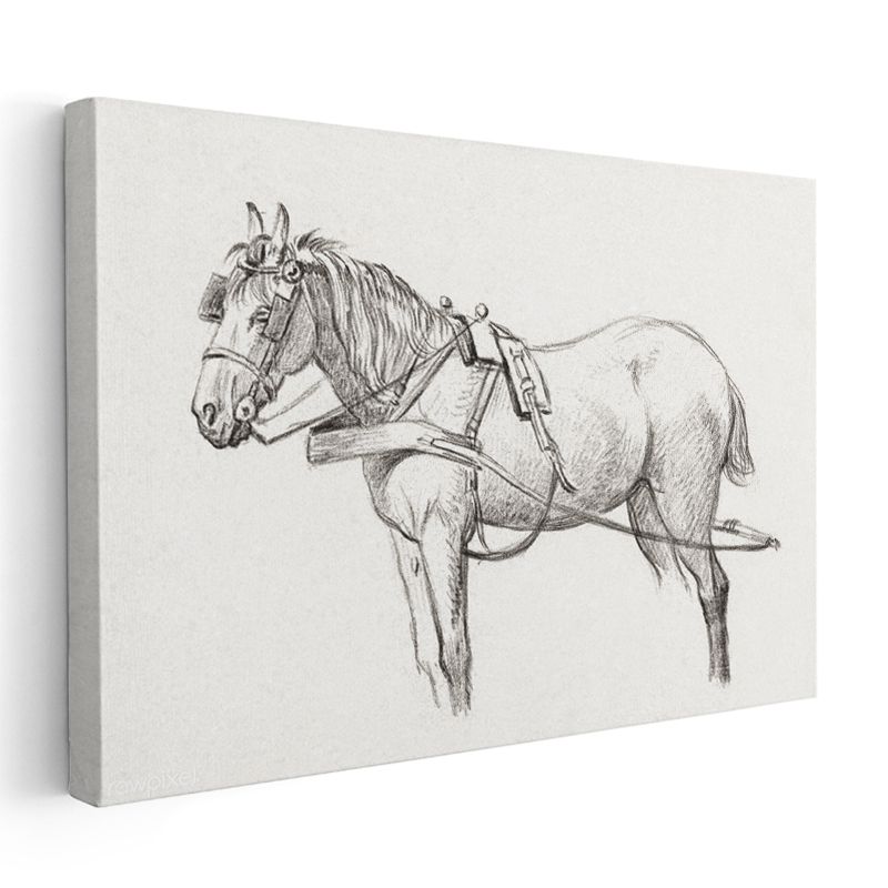 Koşum Takımlı At - Çalışmaya Hazır Çiftlik Hayvanı Kanvas Tablo