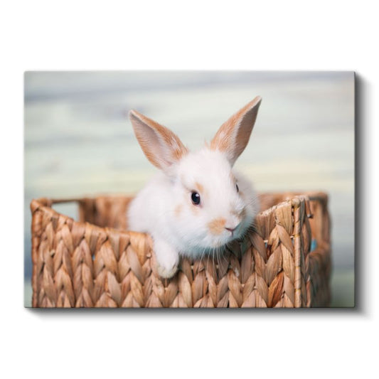 Sepet İçindeki Tavşan - Sevimli Beyaz Kemirgen Kanvas Tablo