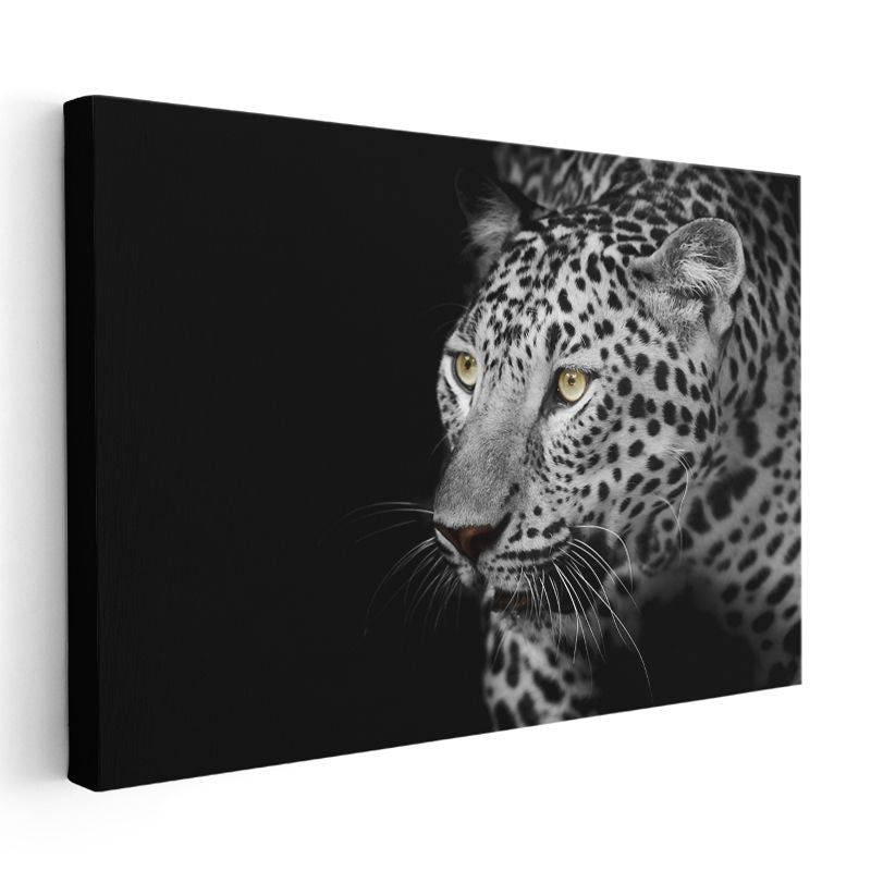 Leopar Portresi - Sarı Gözlü Siyah Beyaz Kanvas Tablo