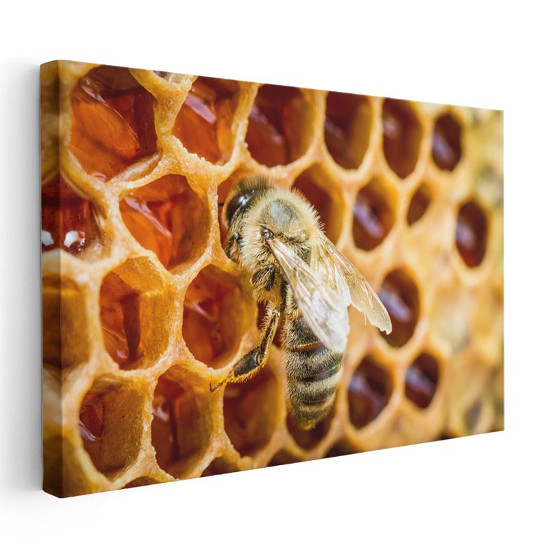 Bal Arısı - Petek Üzerinde Çalışkan İşçi Kanvas Tablo