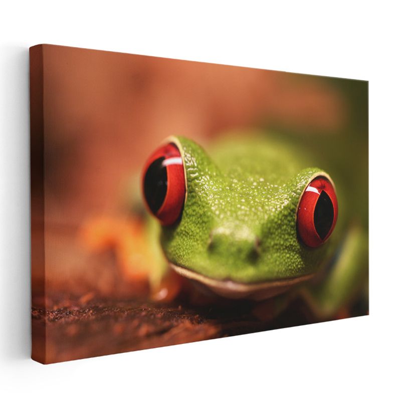 Kırmızı Gözlü Kurbağa - Tropikal Ormanların Büyüleyici Avcısı Kanvas Tablo