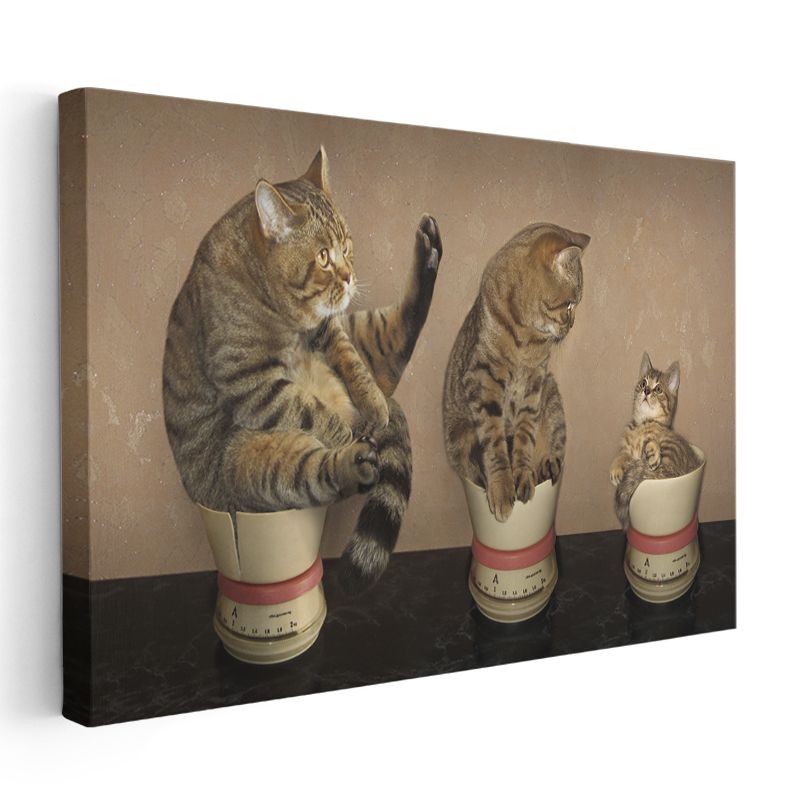 Kedi Ailesi - Ölçü Kaplarında Sevimli Dostlarımız Kanvas Tablo