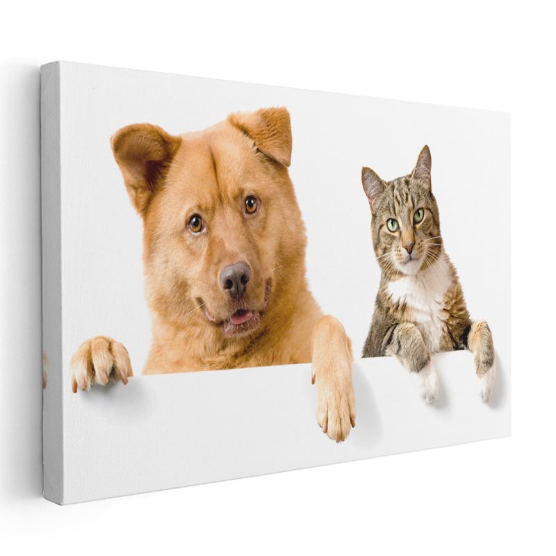 Dostluk Köprüsü - Kedi ve Köpek İkilisi Kanvas Tablo