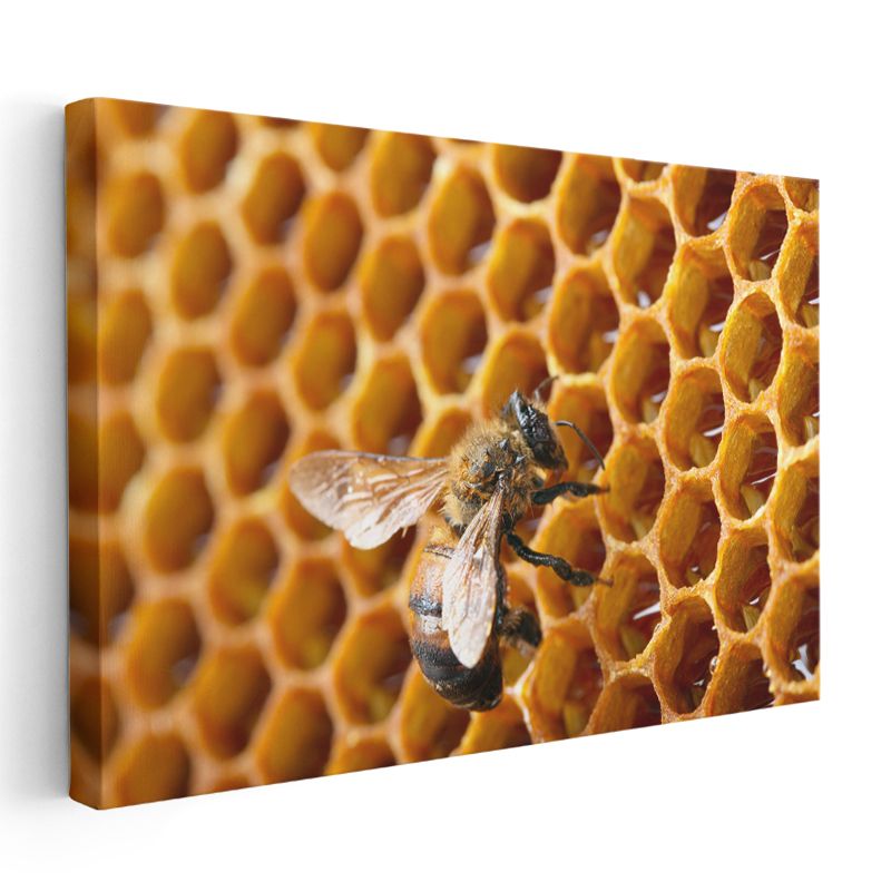 Bal Arısı - Altın Sarısı Petekte Çalışkan İşçi Kanvas Tablo