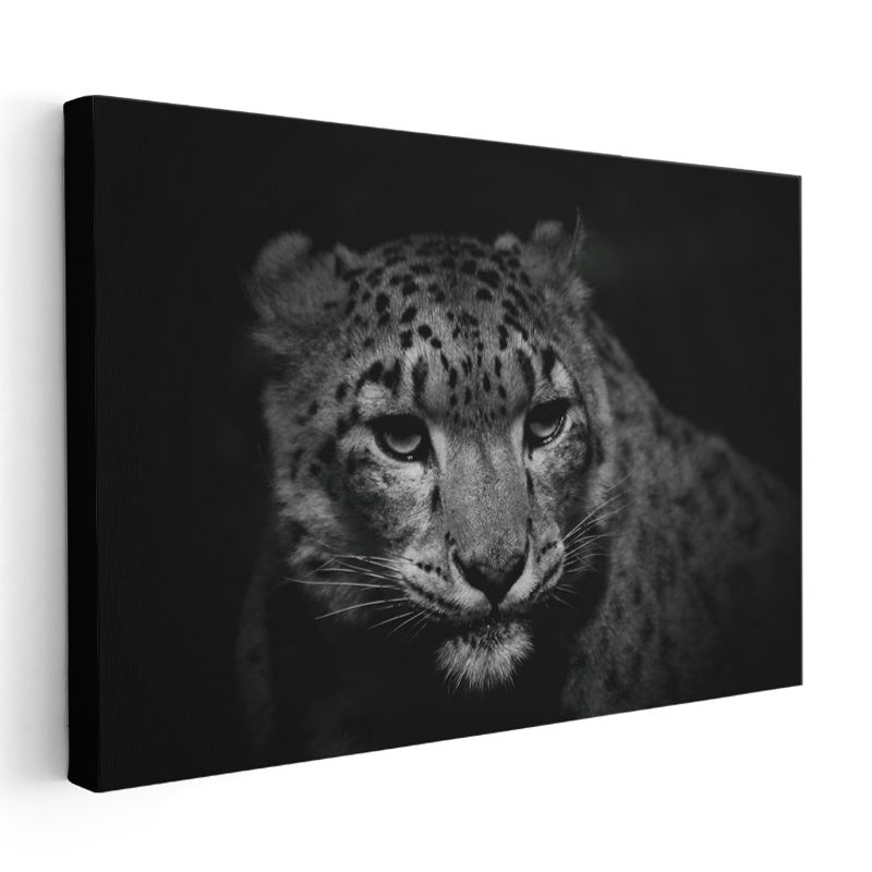 Kar Leoparı - Gizemli Bakışlarıyla Dağların Avcısı Kanvas Tablo