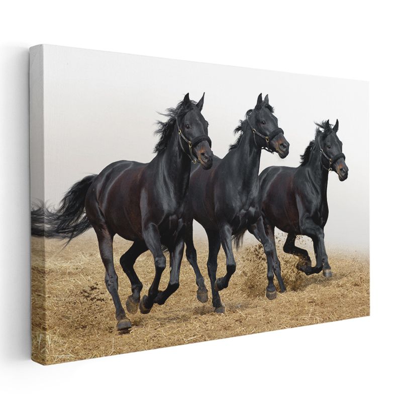 Siyah Atlar - Özgürce Koşan Üçlü Kanvas Tablo