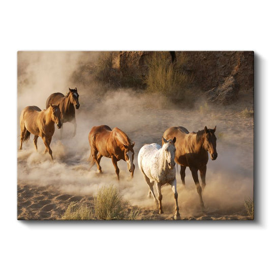 Vahşi Atlar - Tozlu Ovada Özgürce Koşan Sürü Kanvas Tablo