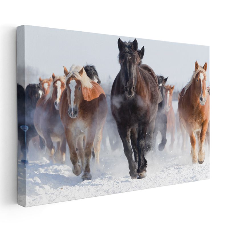 Kış Atları - Karlı Ovada Koşan Özgür Sürü Kanvas Tablo