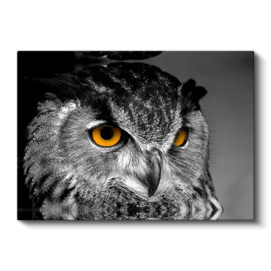 Puhu Baykuşu - Sarı Gözleriyle Gecenin Avcısı Kanvas Tablo
