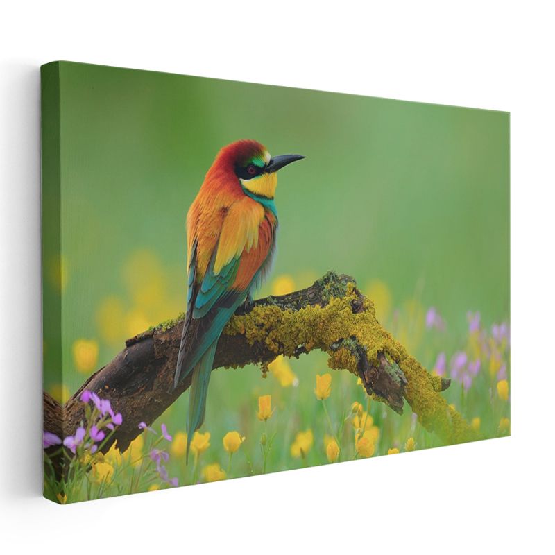 Arı Yiyen Kuşu - Çiçekli Dalda Renkli Tüyler Kanvas Tablo