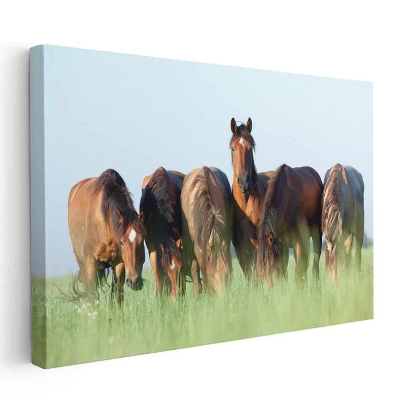 At Sürüsü - Yeşil Çayırda Otlayan Kahverengi Güzeller Kanvas Tablo