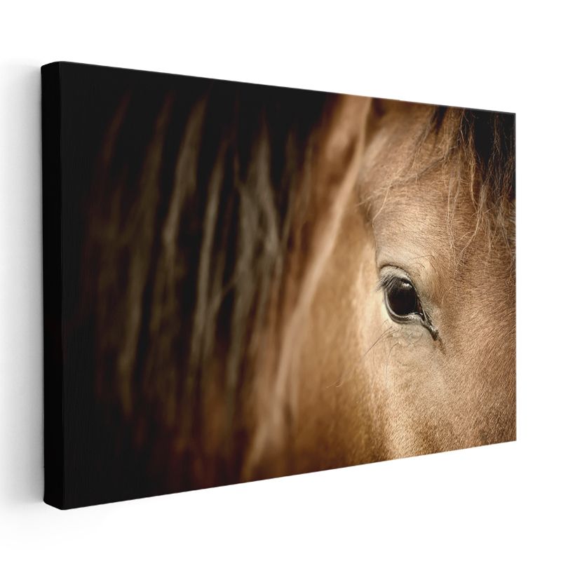 At Gözü - Kahverengi Güzelin Derin Bakışı Kanvas Tablo